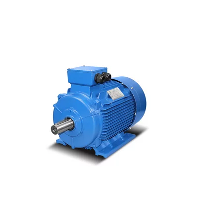 Guss-Elektromotoren 4,0kW - 500kW