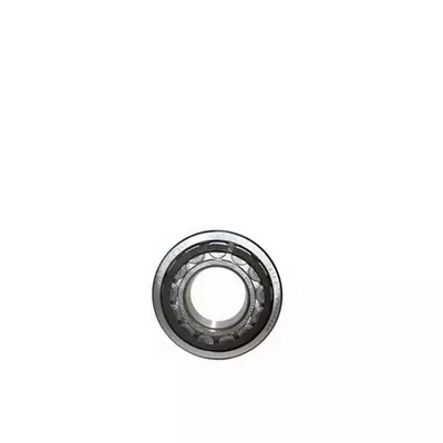 Verstärkte Lagerung Zylinderrollenlager BG160 bis BG315 Verstärkte Lagerung Zylinderrollenlager BG160 bis BG315