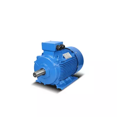 Elektromotor in Guss-Ausfuehrung